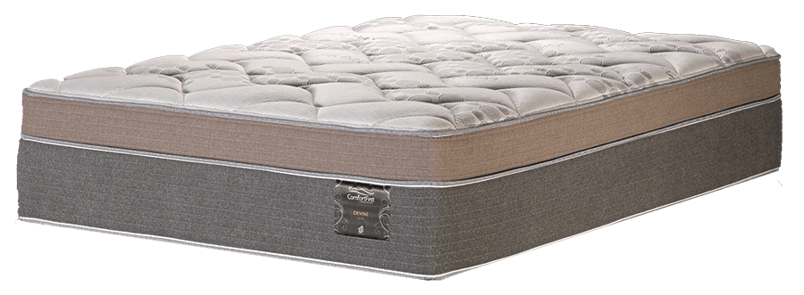 Devine Plush Queen Mattress