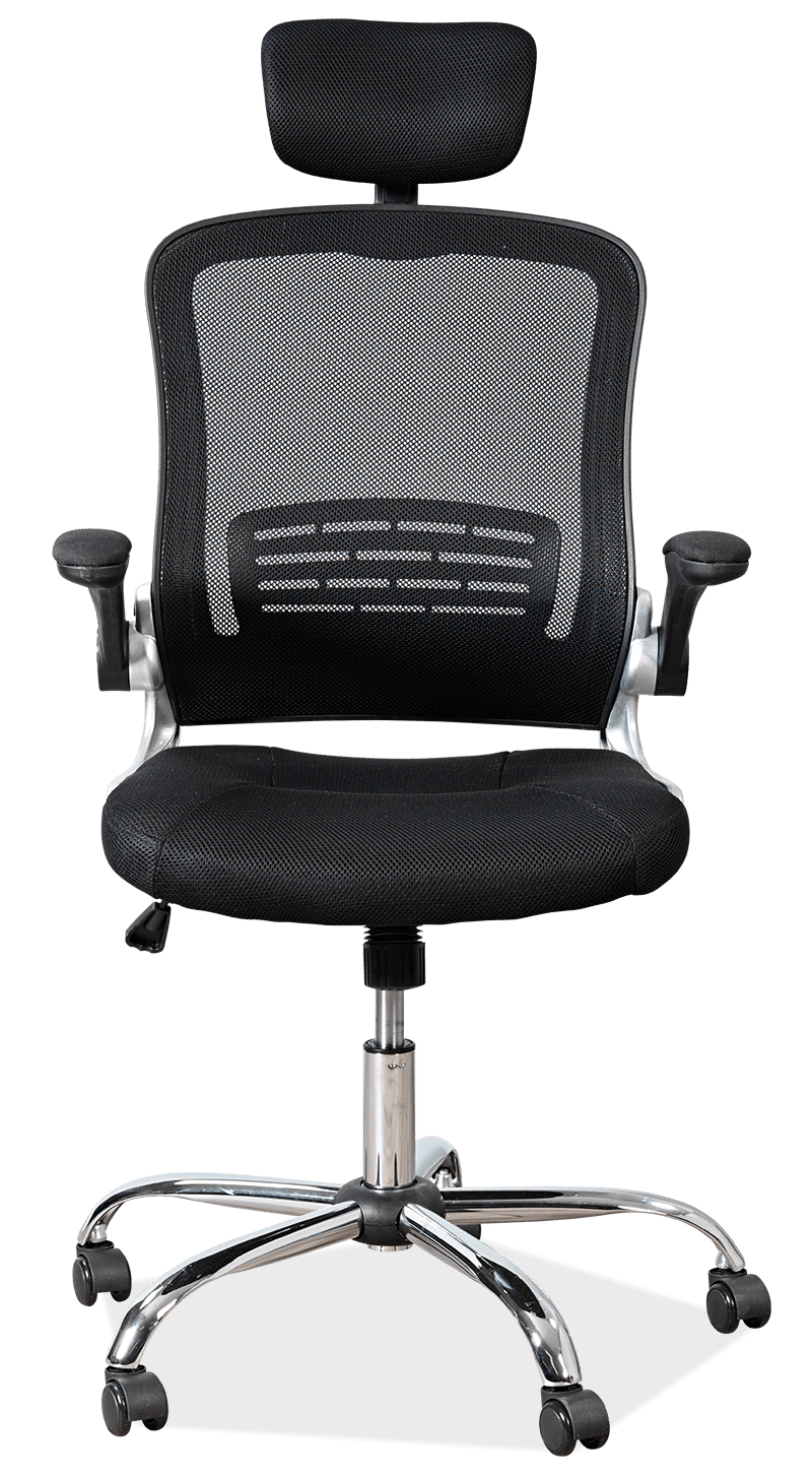 Lex Mesh Adjustable Arms Office Chair