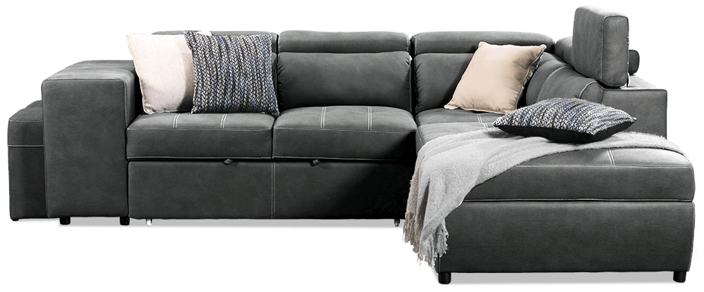 Giorgio Premium Rhino Lounge With Inbuilt Sofa bed