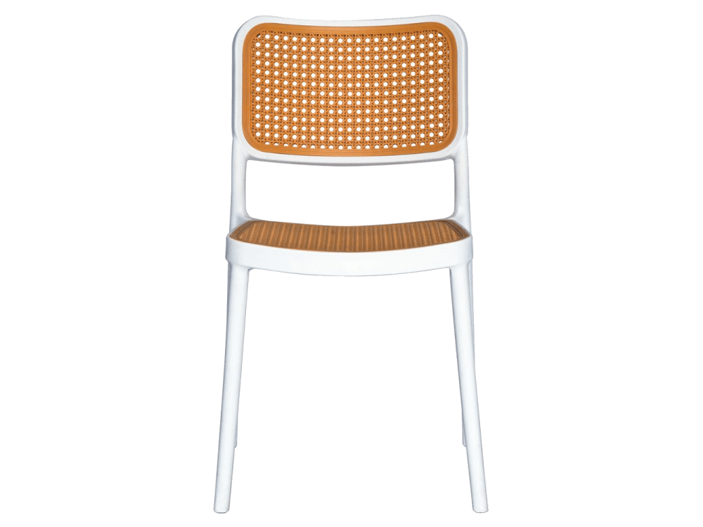 Baya Resin Dining Chair