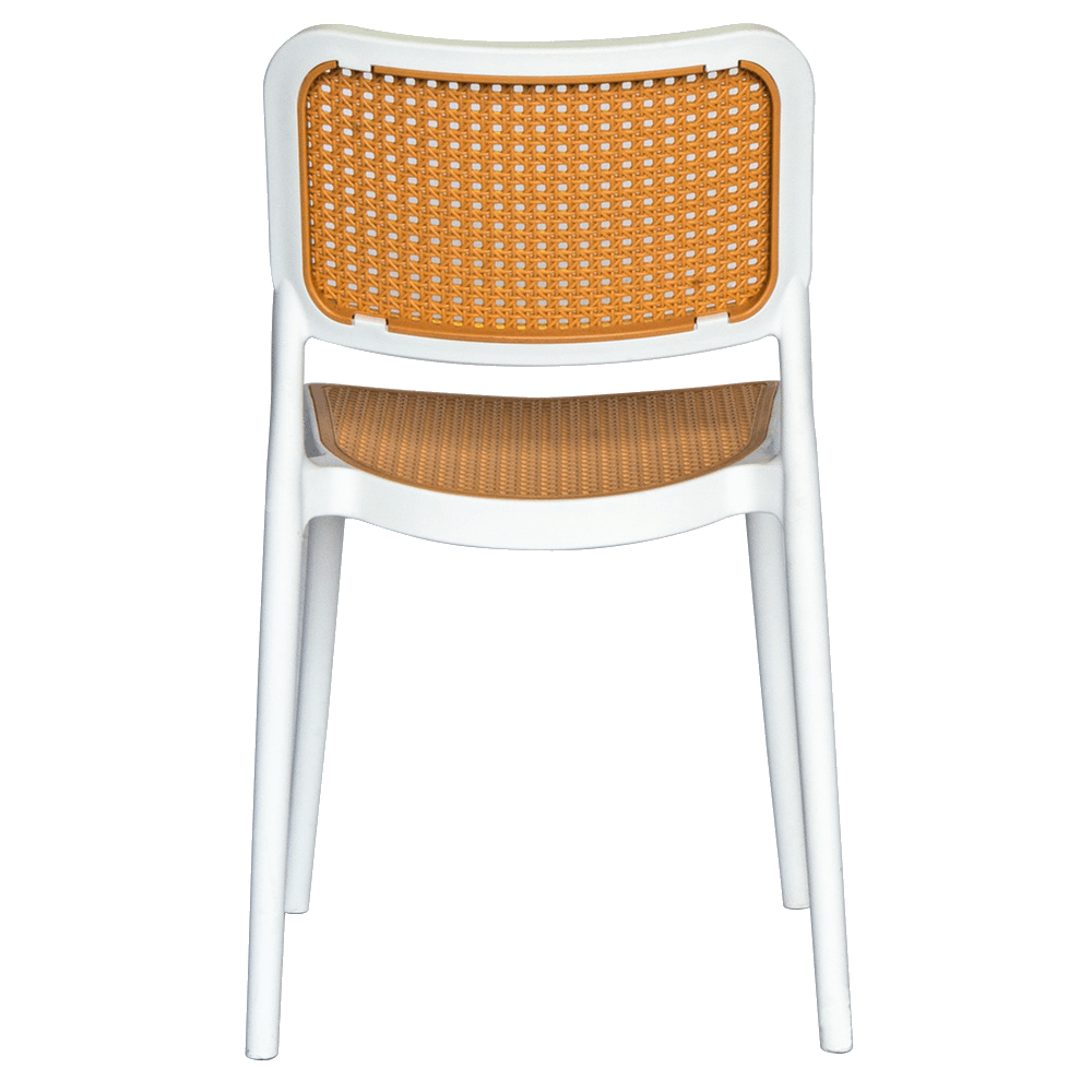 Baya Resin Dining Chair