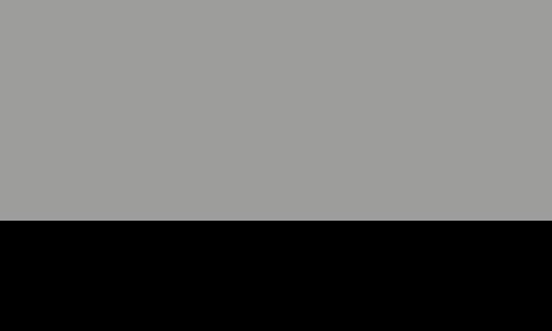 Grey Shell Black Pad