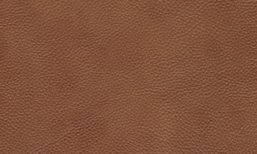Chestnut