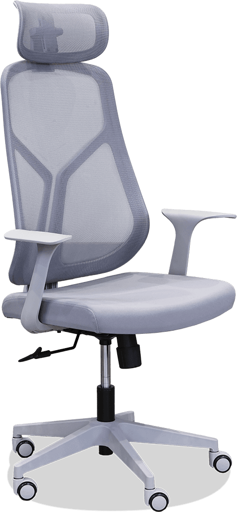 Verve Mesh Gas Lift Office Chair